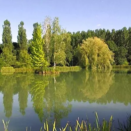 Le Domaine De L'etang De Sandanet Bed & Breakfast 3*