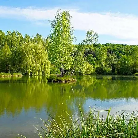 Le Domaine De L'etang De Sandanet Bed & Breakfast Issac