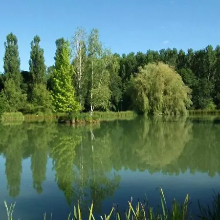 Bed & Breakfast Le Domaine De L'etang De Sandanet 3*