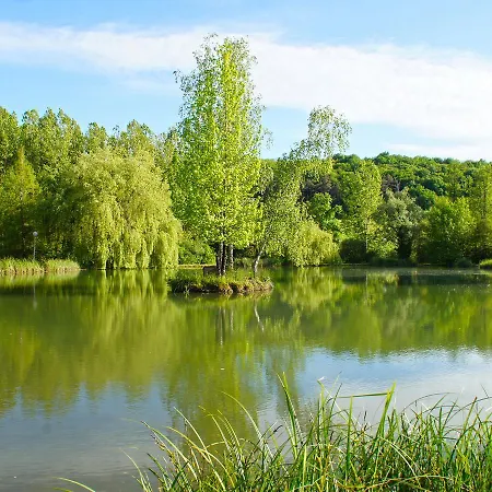 Le Domaine De L'etang De Sandanet 3*